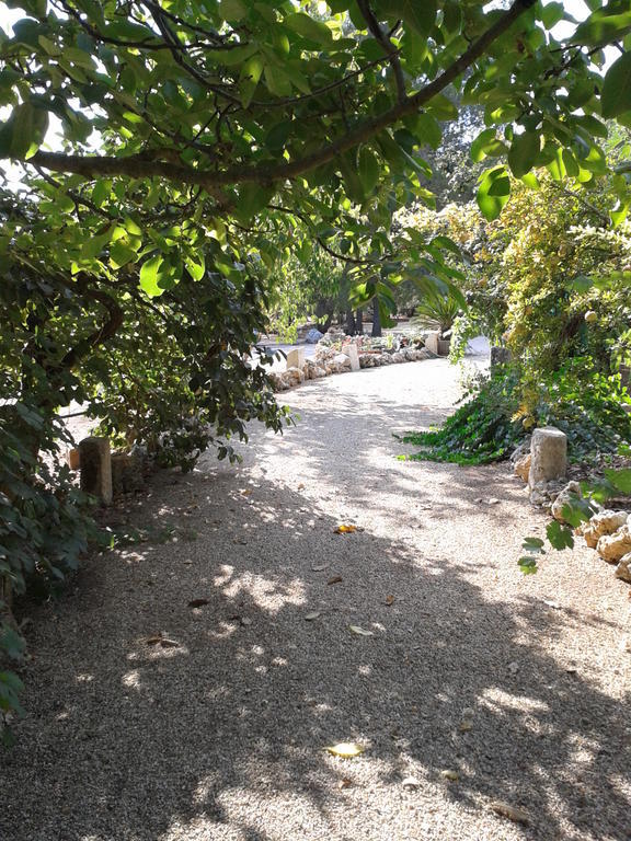 קרפיניאנו סלינטינו Tenuta La Spezia מראה חיצוני תמונה