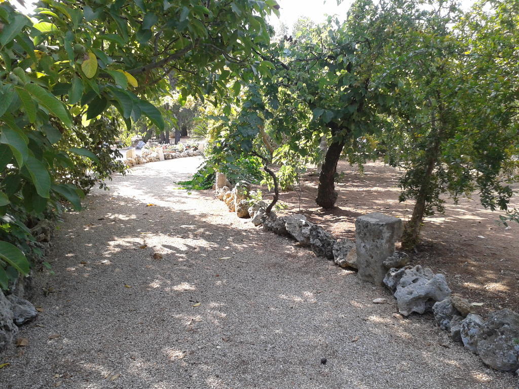 קרפיניאנו סלינטינו Tenuta La Spezia מראה חיצוני תמונה
