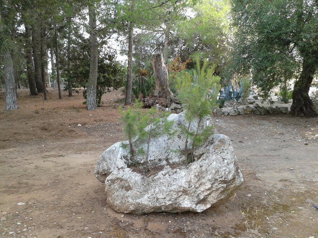 קרפיניאנו סלינטינו Tenuta La Spezia מראה חיצוני תמונה