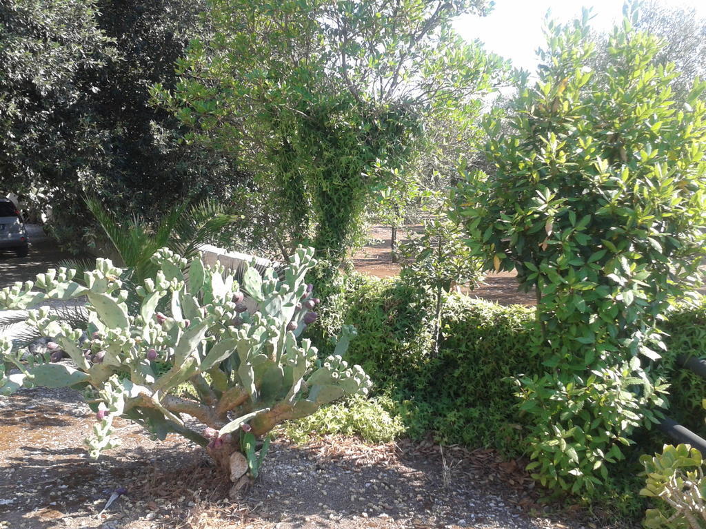 קרפיניאנו סלינטינו Tenuta La Spezia מראה חיצוני תמונה